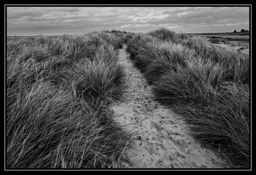 250101 11h54mn40s xh2