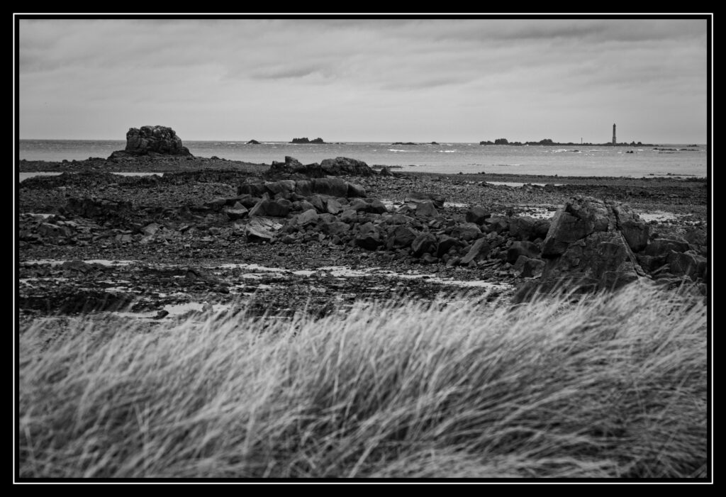 250101 11h56mn26s xh2