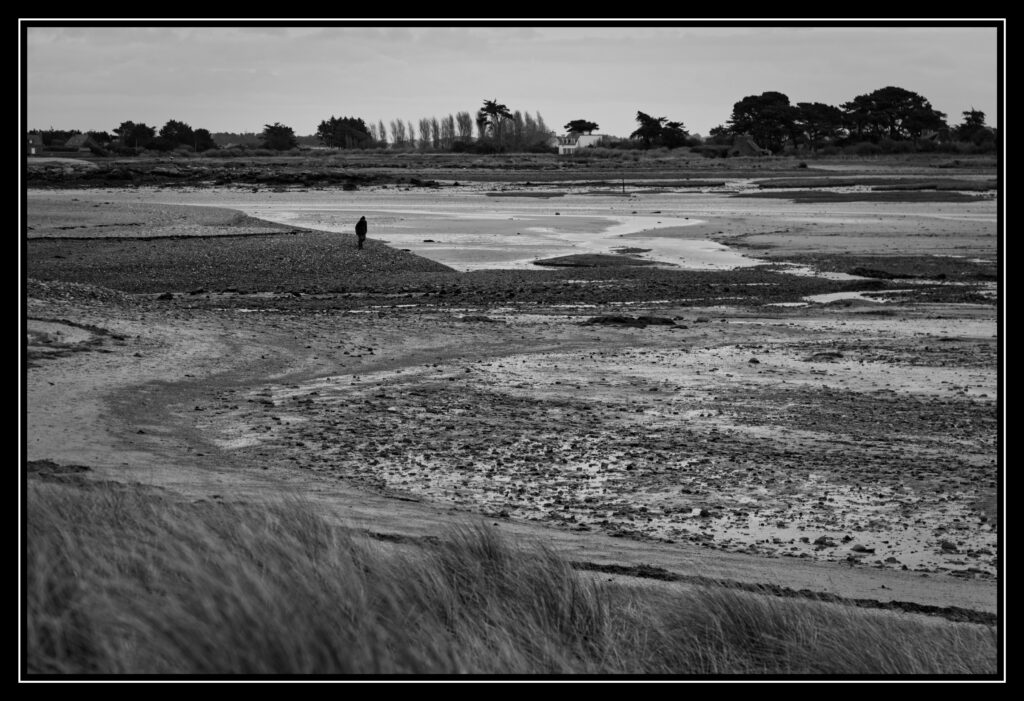 250101 11h56mn40s xh2