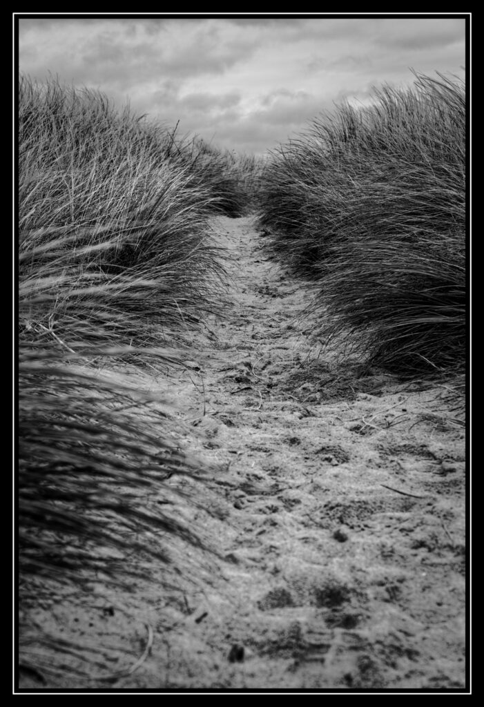 250101 11h57mn26s xh2