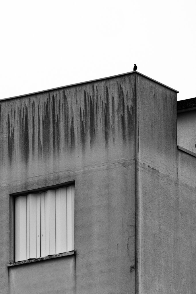 250202 10h06mn54s xh2