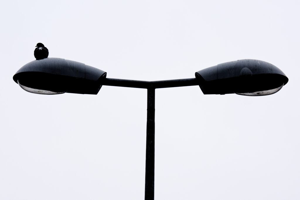 250202 10h12mn38s xh2