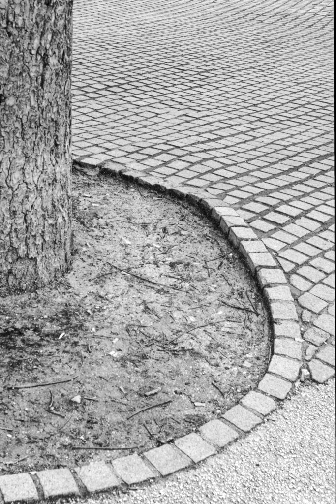 250202 11h31mn30s xh2