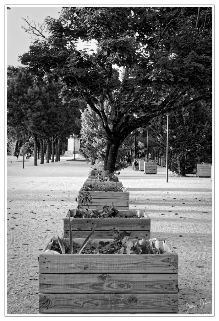 250624 20h43mn14s xh2