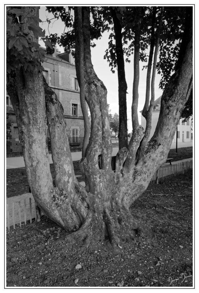 250624 20h44mn04s xh2