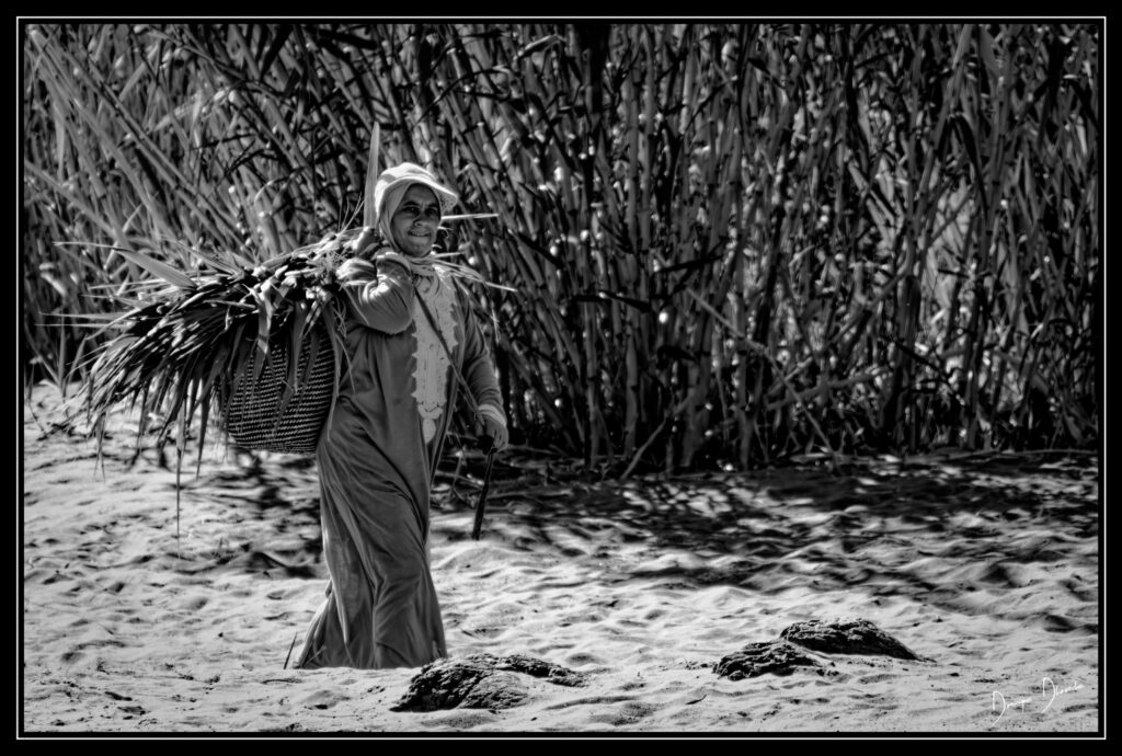 251007 09h31mn18s xh2 1