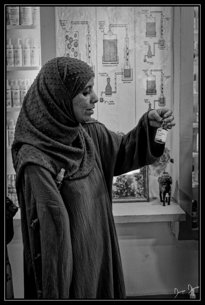 251009 17h34mn44s xh2 1